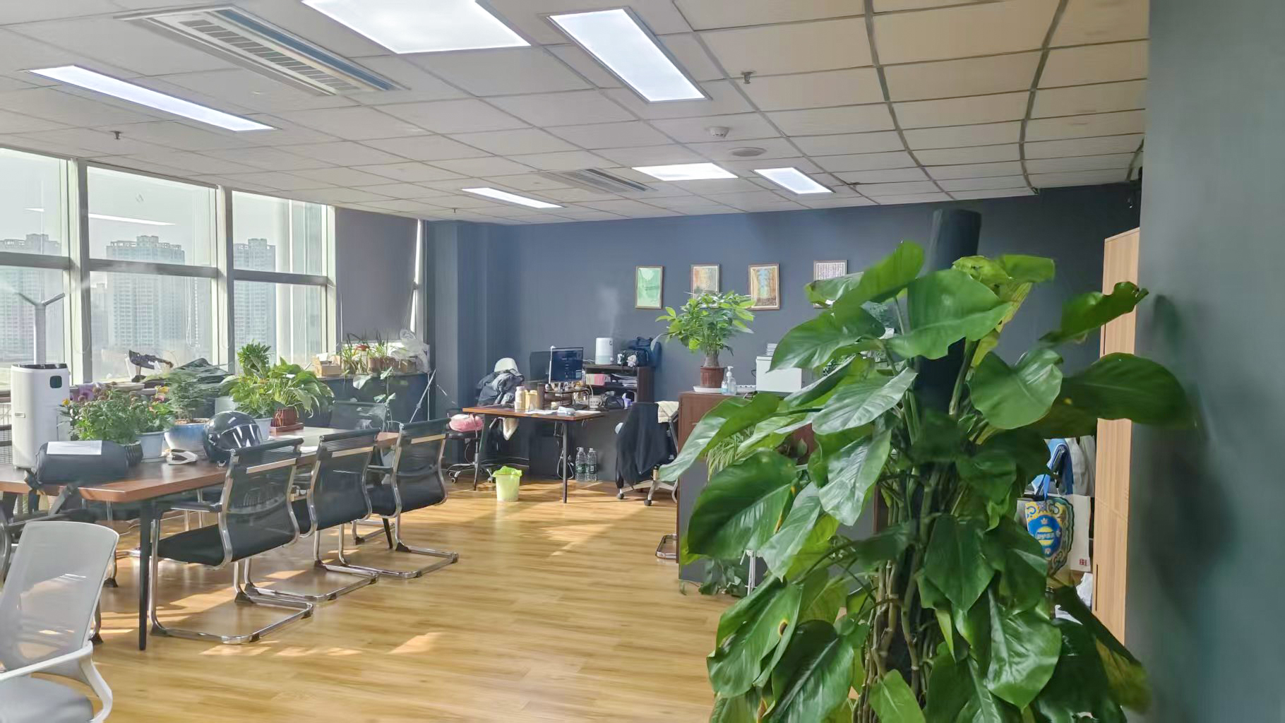 公司简介